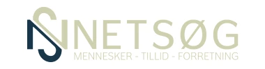 Netsøg